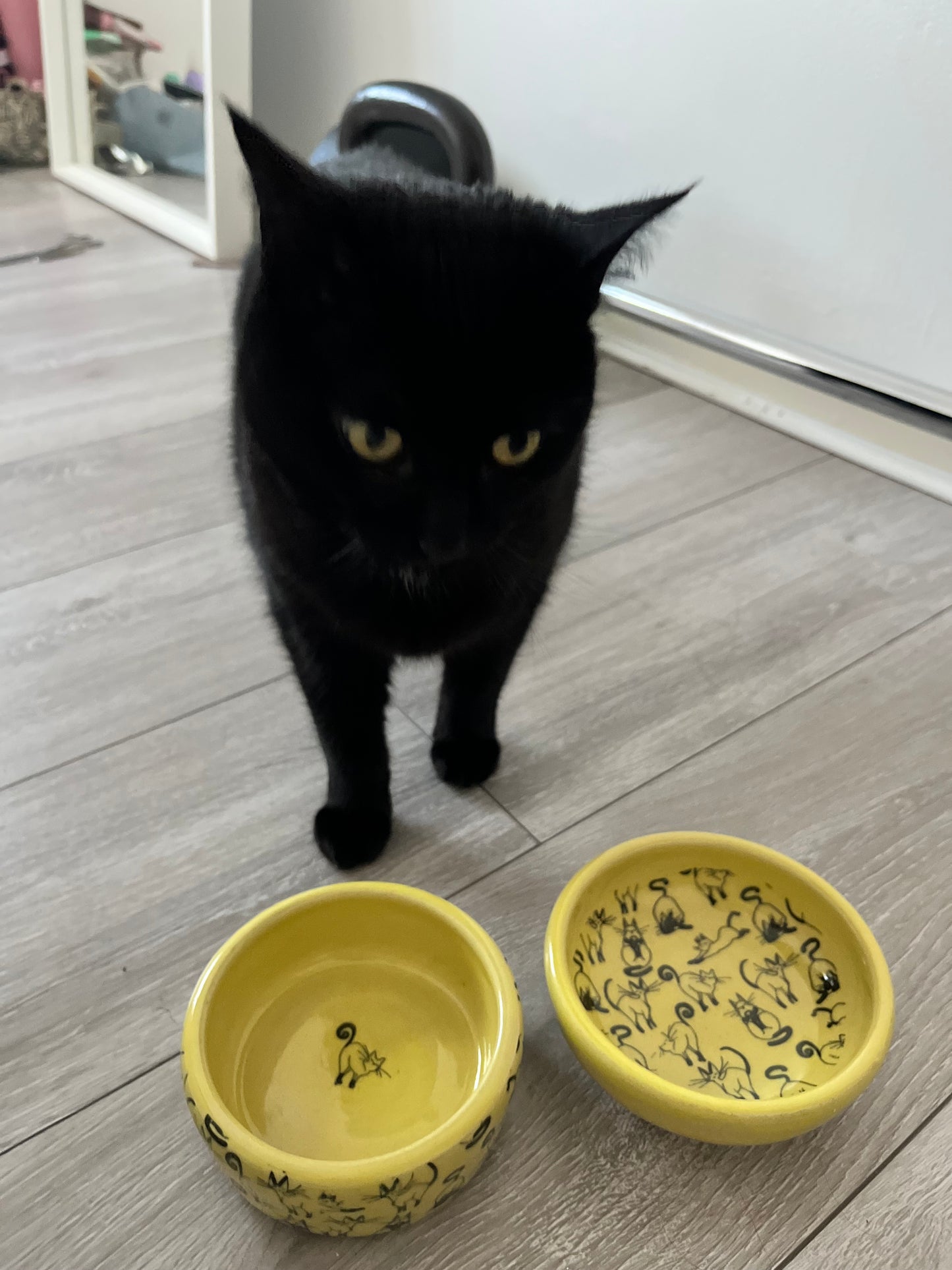 Handmade Decorative Cat Bowl