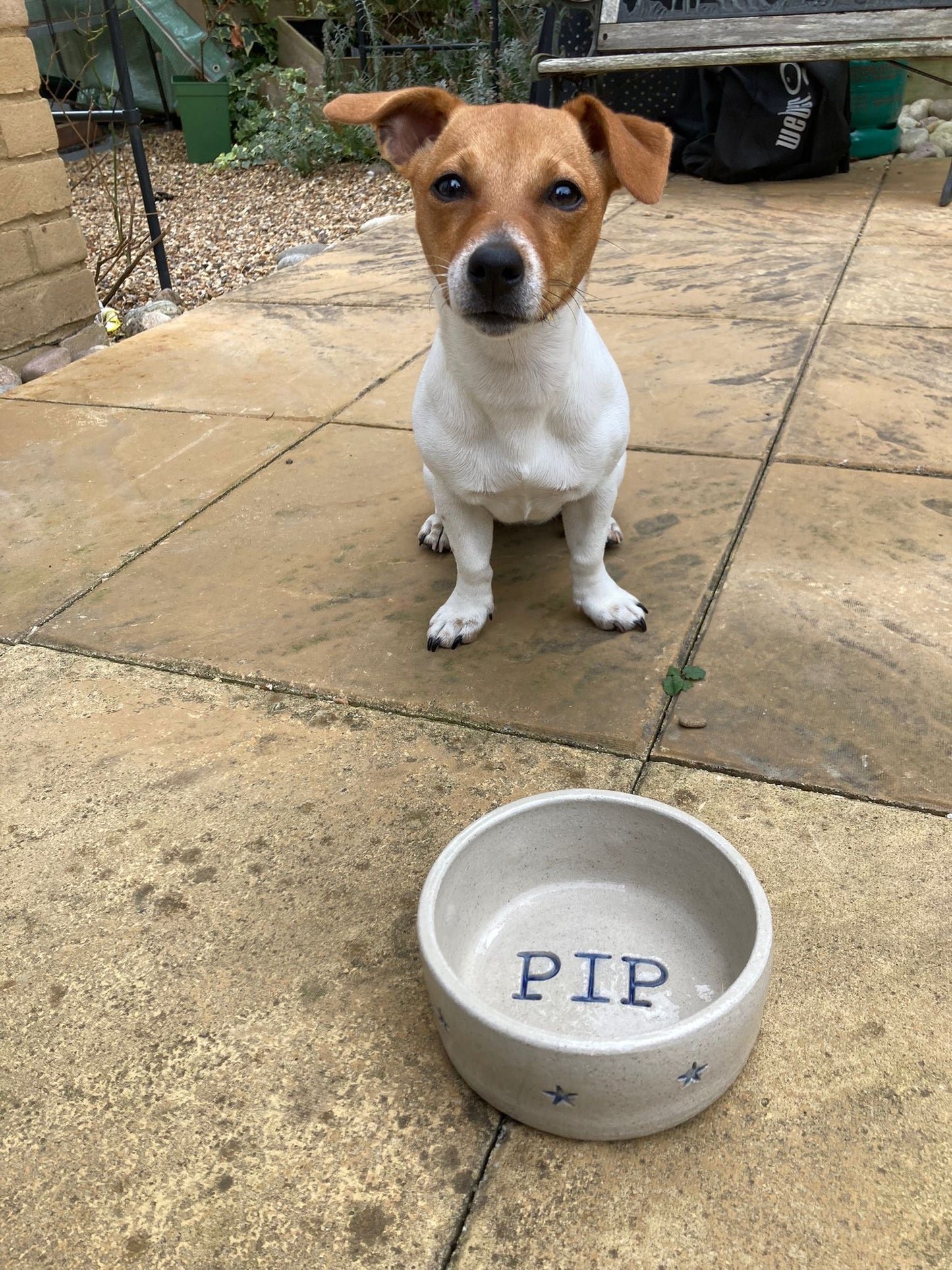 Handmade Personalised Dog/ Cat Bowl