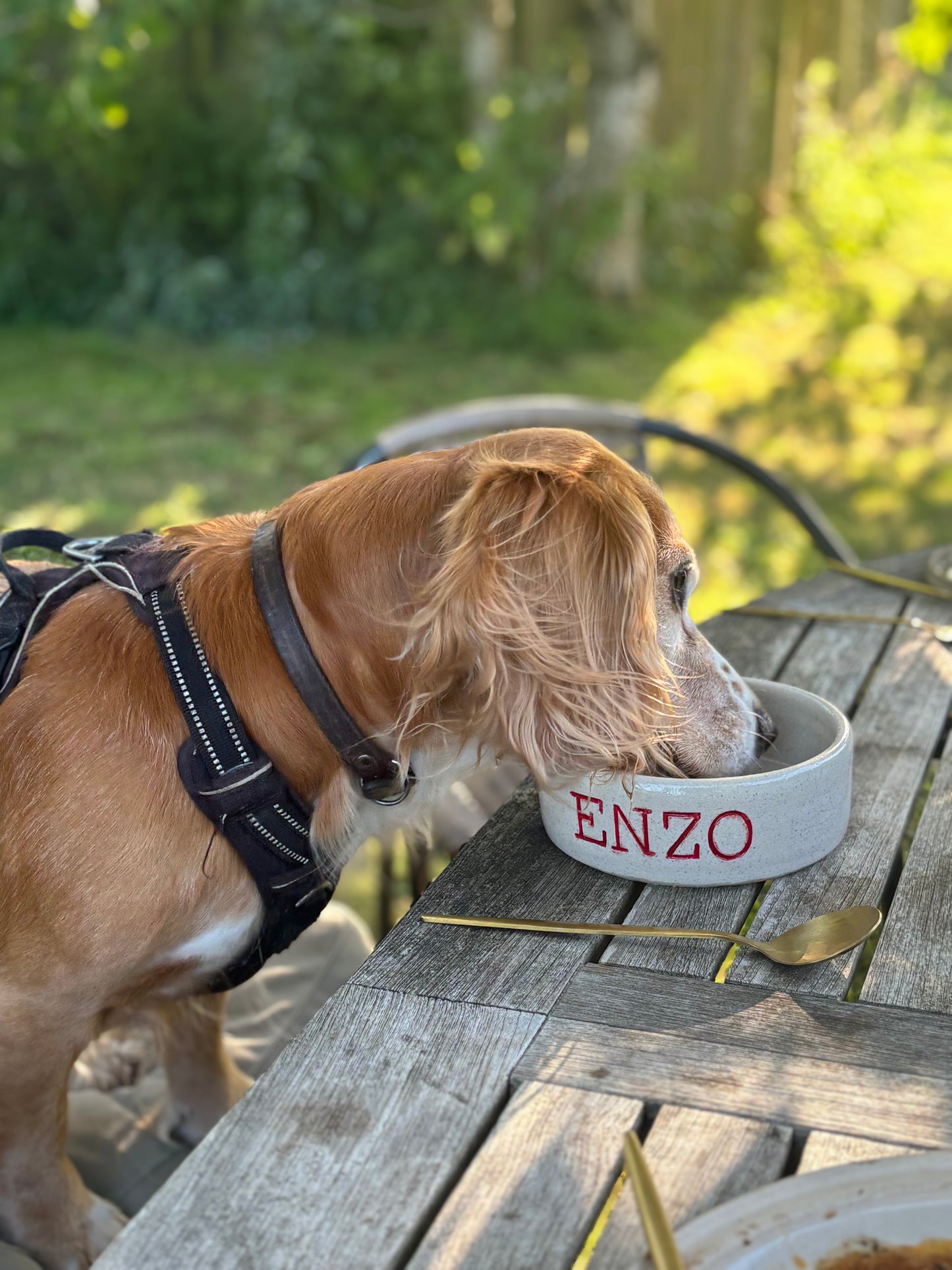 Handmade Personalised Dog/ Cat Bowl