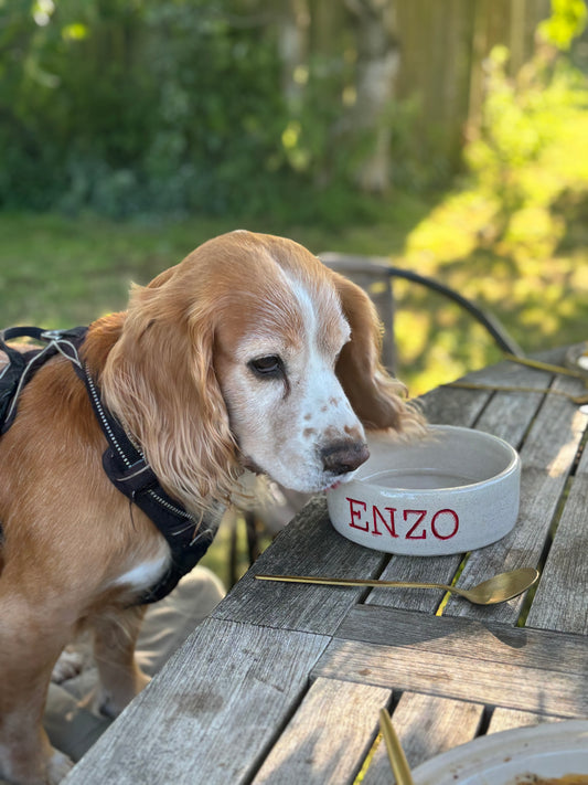 Handmade Personalised Dog/ Cat Bowl