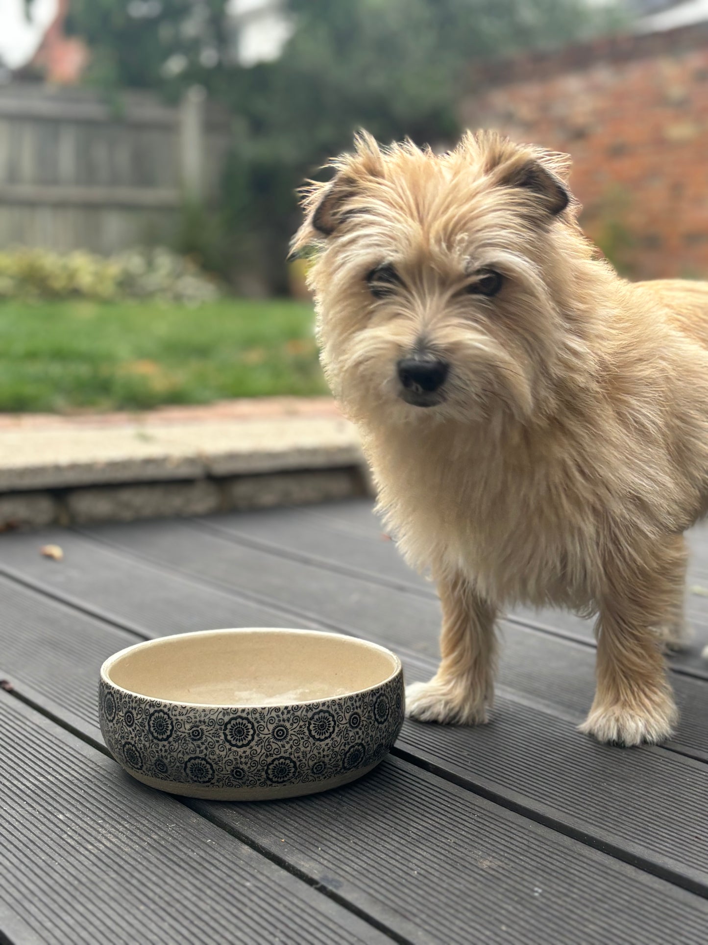 Handmade Decorative Dog/ Cat Bowl