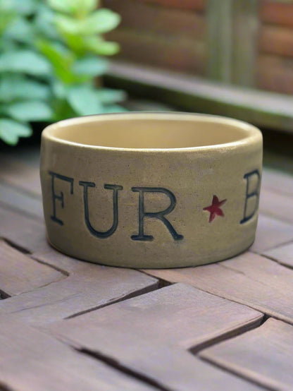 Inclusive Dog/ Cat Bowl