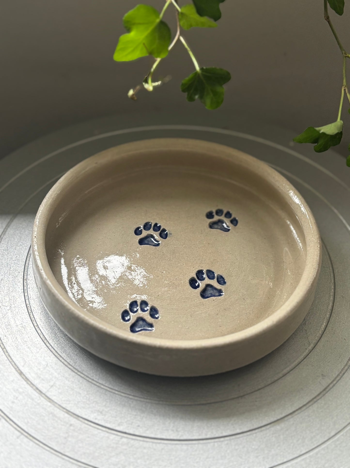 Inclusive Dog/ Cat Bowl