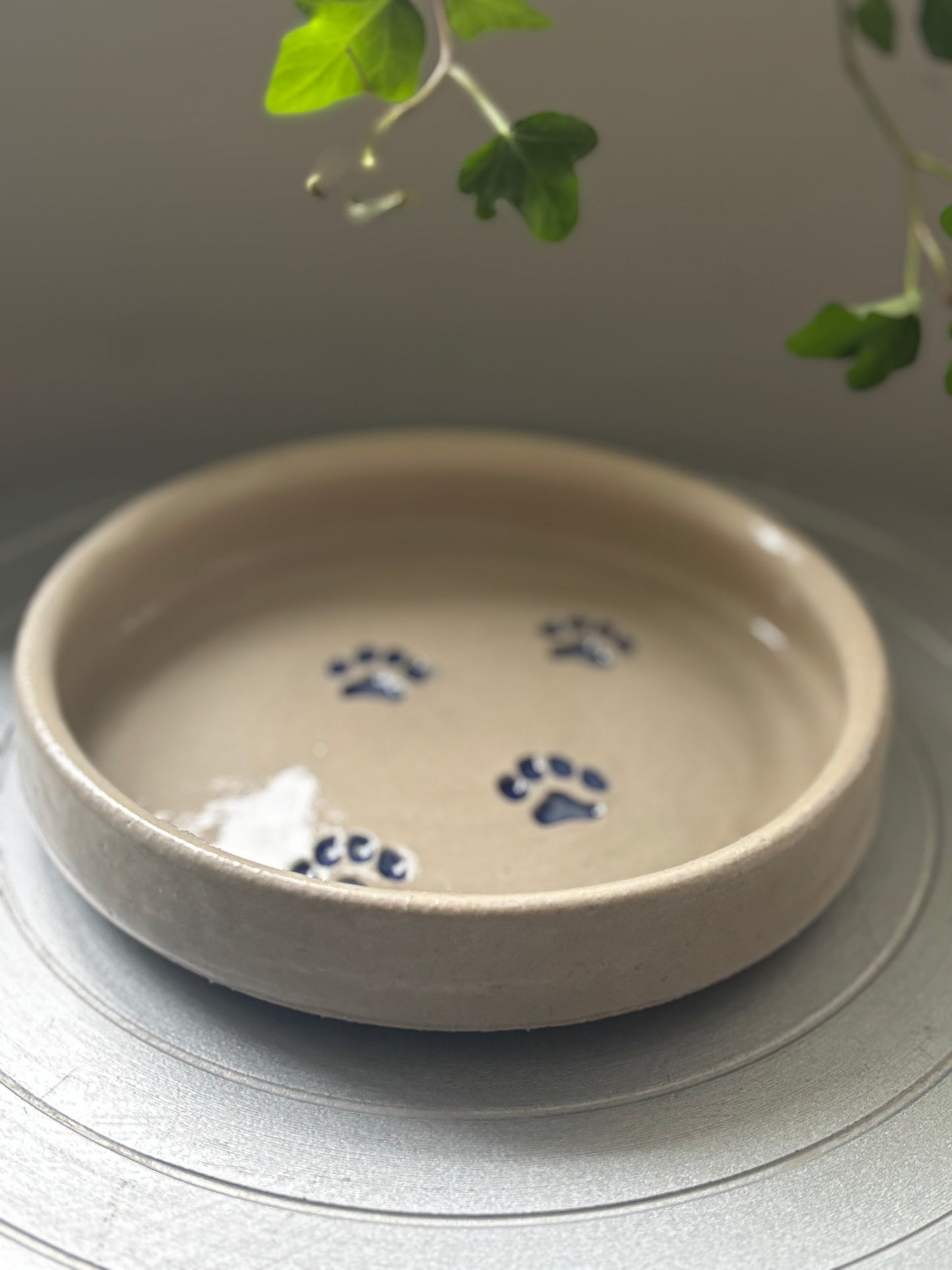 Inclusive Dog/ Cat Bowl