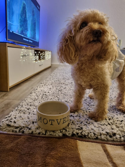 Handmade Personalised Dog/ Cat Bowl